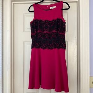 Loft 4P pink with black lace pinch waist fit and flare dress